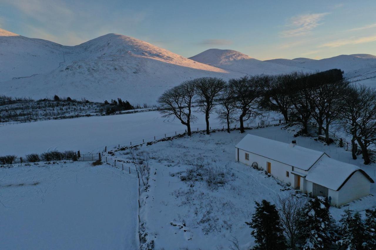 Thistle Thatch Cottage And Hot Tub - Mourne Mountains Newcastle  Extérieur photo