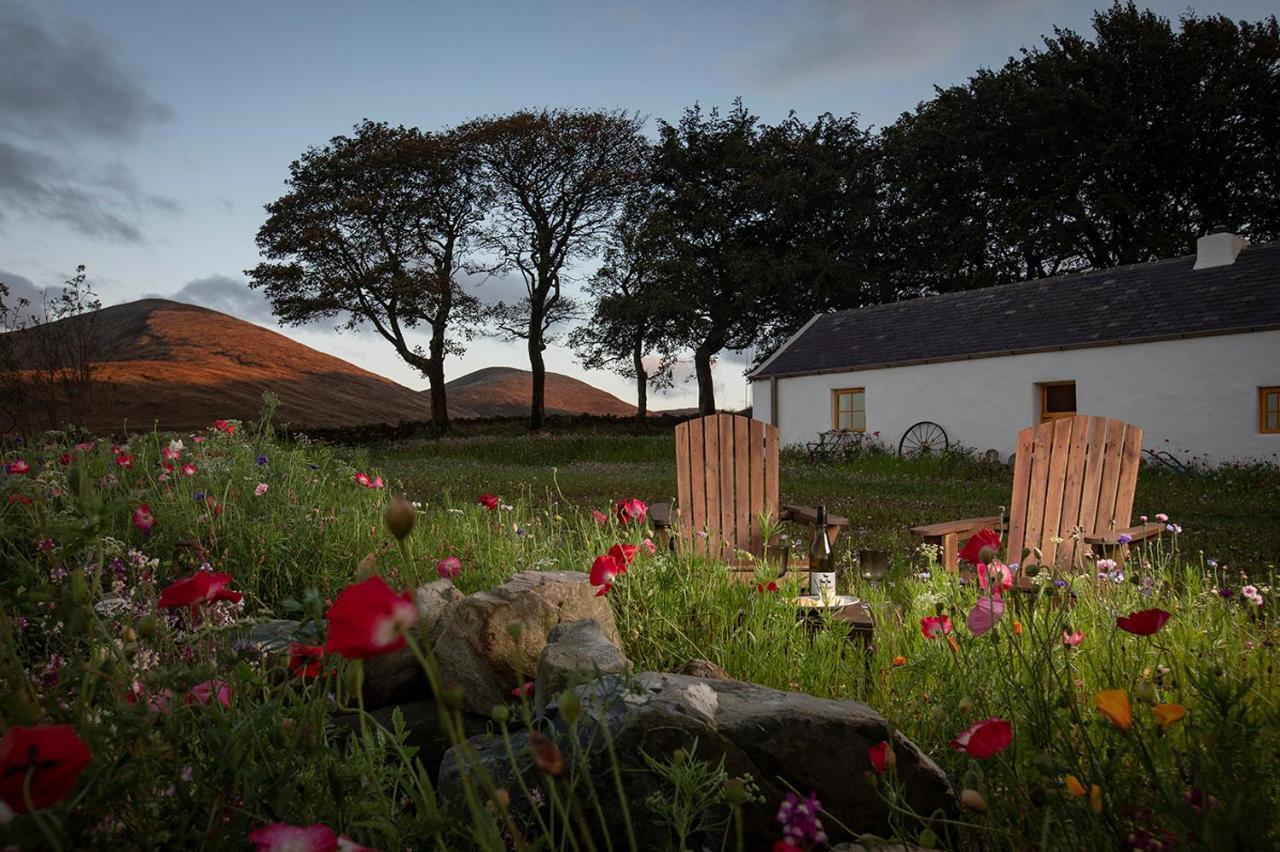 Thistle Thatch Cottage And Hot Tub - Mourne Mountains Newcastle  Extérieur photo